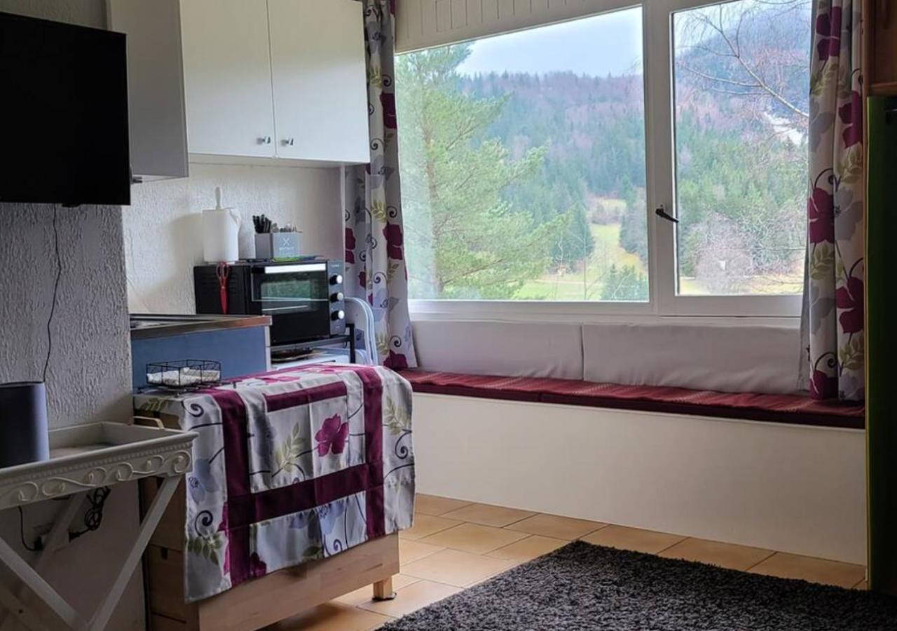 Studio Agreable Et Lumineux Villard-de-Lans Ngoại thất bức ảnh